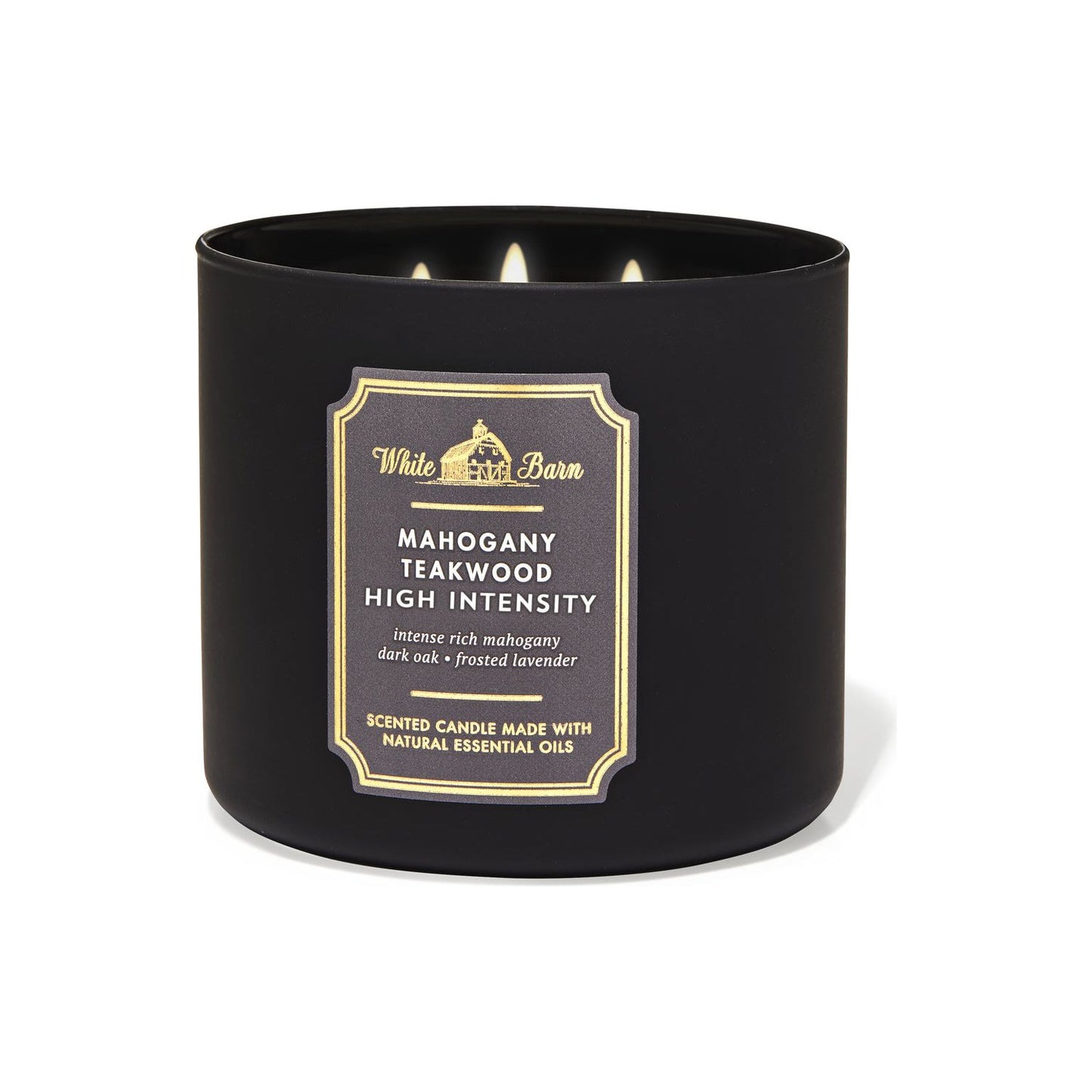 Mahogany Teakwood Candle | 3-Wick Candles | SocialSkn