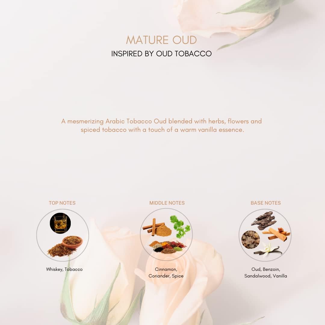 Men's Perfume Oil | Concentrated Perfume Oil | SocialSkn